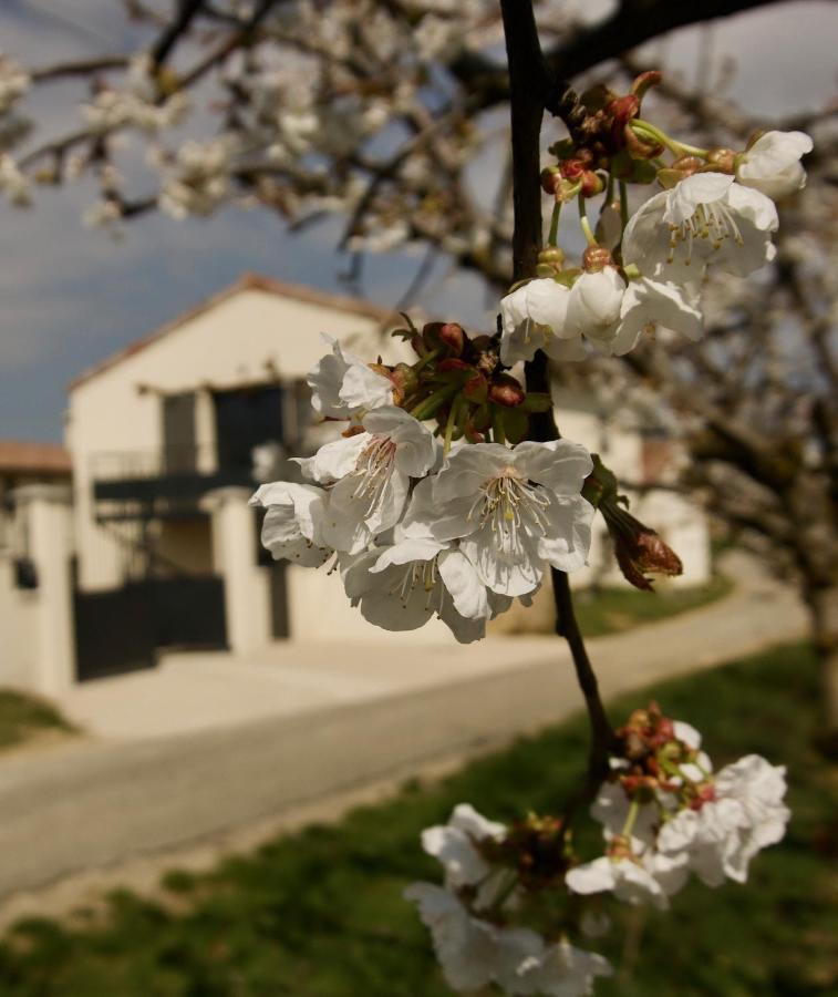 Apartment Du Mas De Surlan Chantemerle-les-Blés
